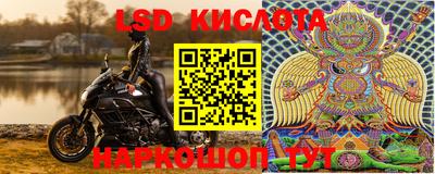 соль ск Новодвинск