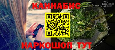 соль ск Новодвинск