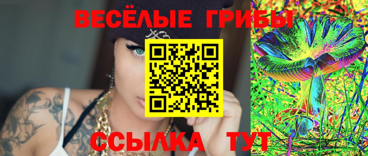 сколько стоит  Галлюциногенные грибы Magic Shrooms  Псилоцибиновые грибы Psilocybe  Вход с VPN  Рузаевка 