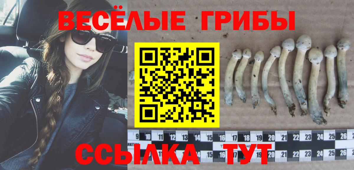 Псилоцибиновые грибы Psilocybine cubensis Рузаевка